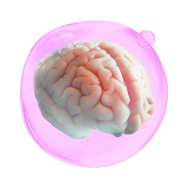 /static/media/cerebro.78a77dde.png